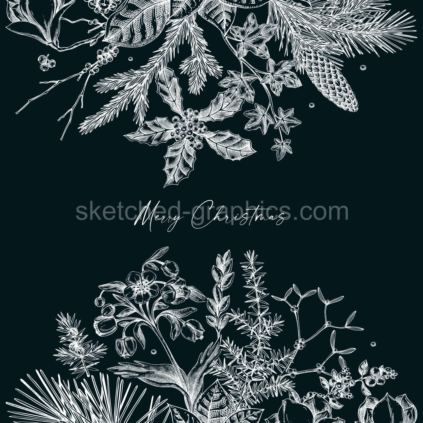 Merry Christmas card. Vintage frame with evergreen plants, conifers, and flower sketches on chalkboard. Hand-drawn botanical illustrations. NOT AI generated image Illustration